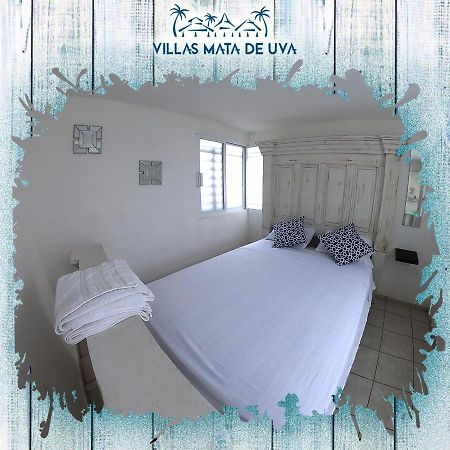 Villas Mata De Uva Heroica Heroica Alvarado Extérieur photo