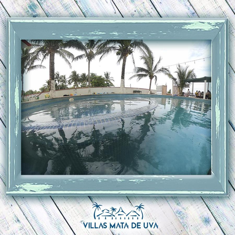 Villas Mata De Uva Heroica Heroica Alvarado Extérieur photo
